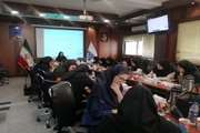 برگزاری جلسه آموزشی در راستای برنامه های باز آموزی نوزادان در شبکه بهداشت اسلامشهر